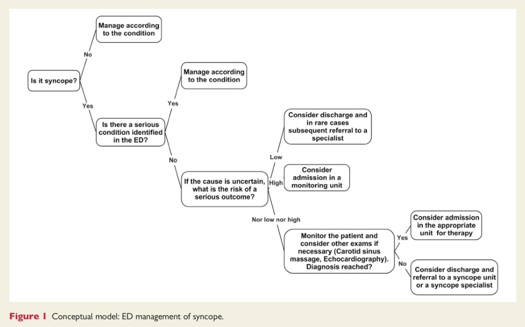 ED syncope model